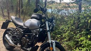 Voge Trofeo 300ACX Scrambler (2021 - 25) 