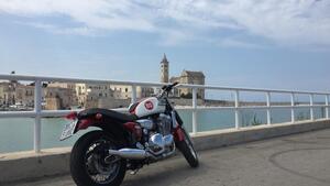 Triumph Thunderbird 900 (1995 - 01) 