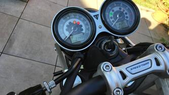 Triumph Speed Twin 1200 (2019 - 20)