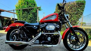Harley-Davidson 883 Custom (2001 - 05) - XL 53C 