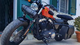 Harley-Davidson 1200 Forty-Eight (2010 - 15)