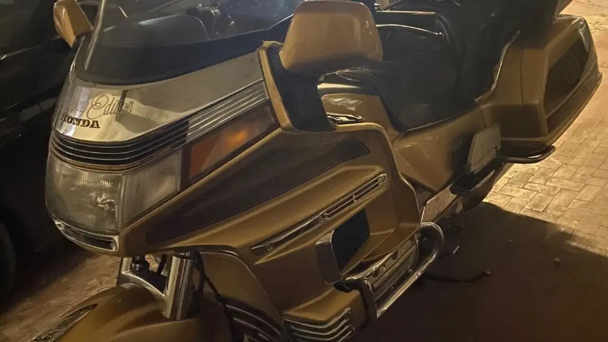 Honda GL 1500 SE Gold Wing (1991 - 02)  (3)