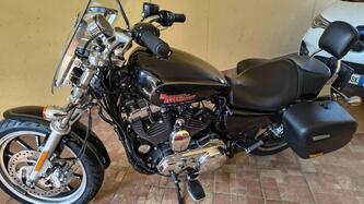 Harley-Davidson 1200 SuperLow (2014 - 16) - XL 1200T usata