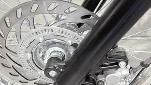 Betamotor Alp 4.0 (2024 - 26)  (5)