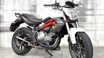 Benelli BN 302 (2017 - 19)