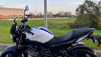 Suzuki SV 650 (2016 - 20) usata