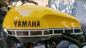 Yamaha XJR 1300 60th Anniversary (2015 - 16) 