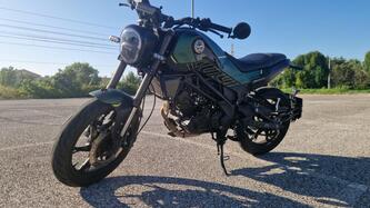 Benelli Leoncino 125 (2022 - 25) usata