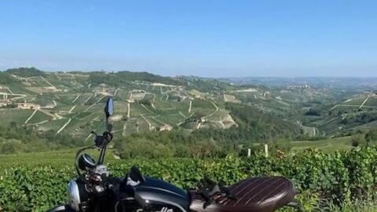 Ducati Scrambler 800 Classic (2015 - 16)  (7)