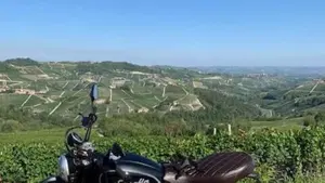 Ducati Scrambler 800 Classic (2015 - 16)  (7)