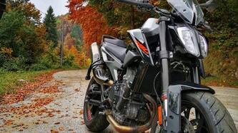 KTM 790 Duke (2018 - 20) usata