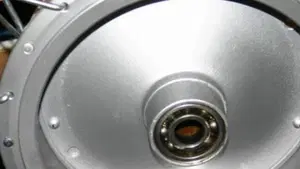 Bsa   (7)