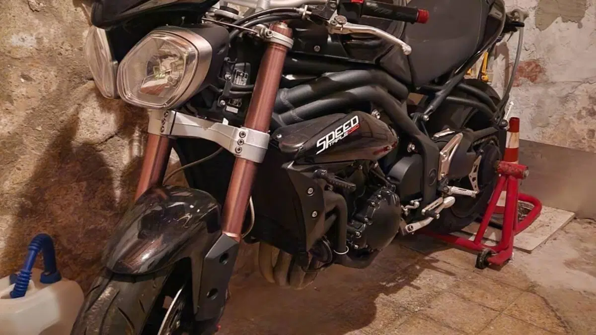 Triumph Speed Triple 1050 (2011 - 13) 