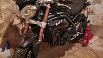 Triumph Speed Triple 1050 (2011 - 13) usata