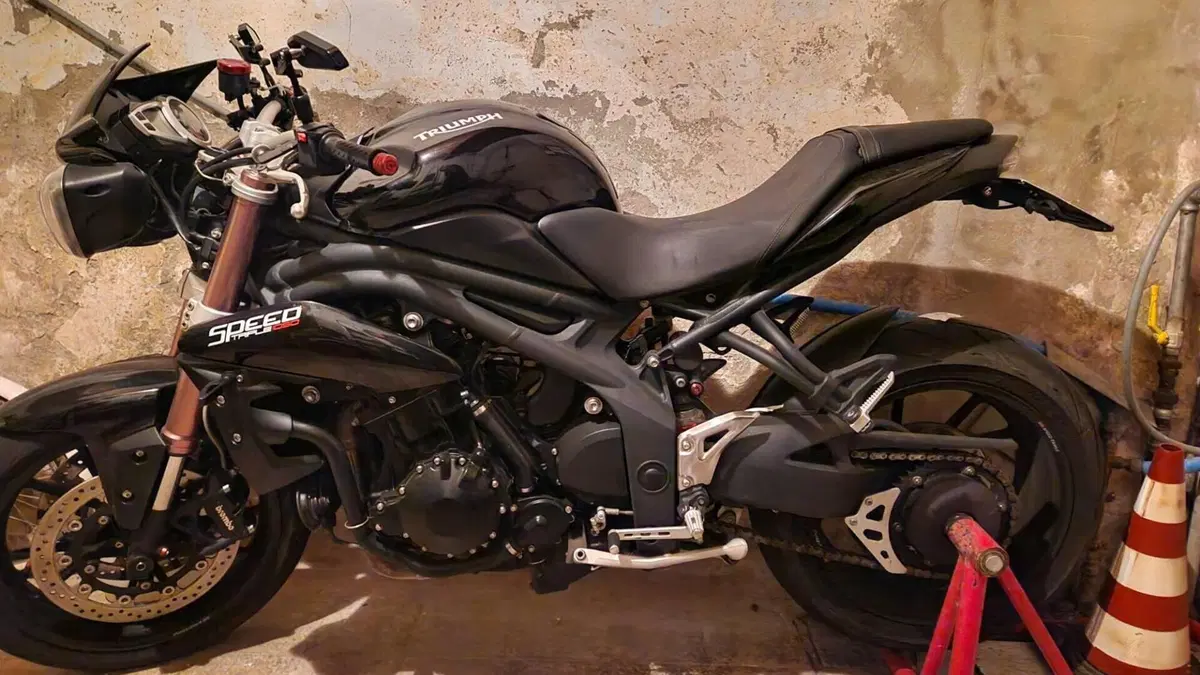 Triumph Speed Triple 1050 (2011 - 13)  (2)