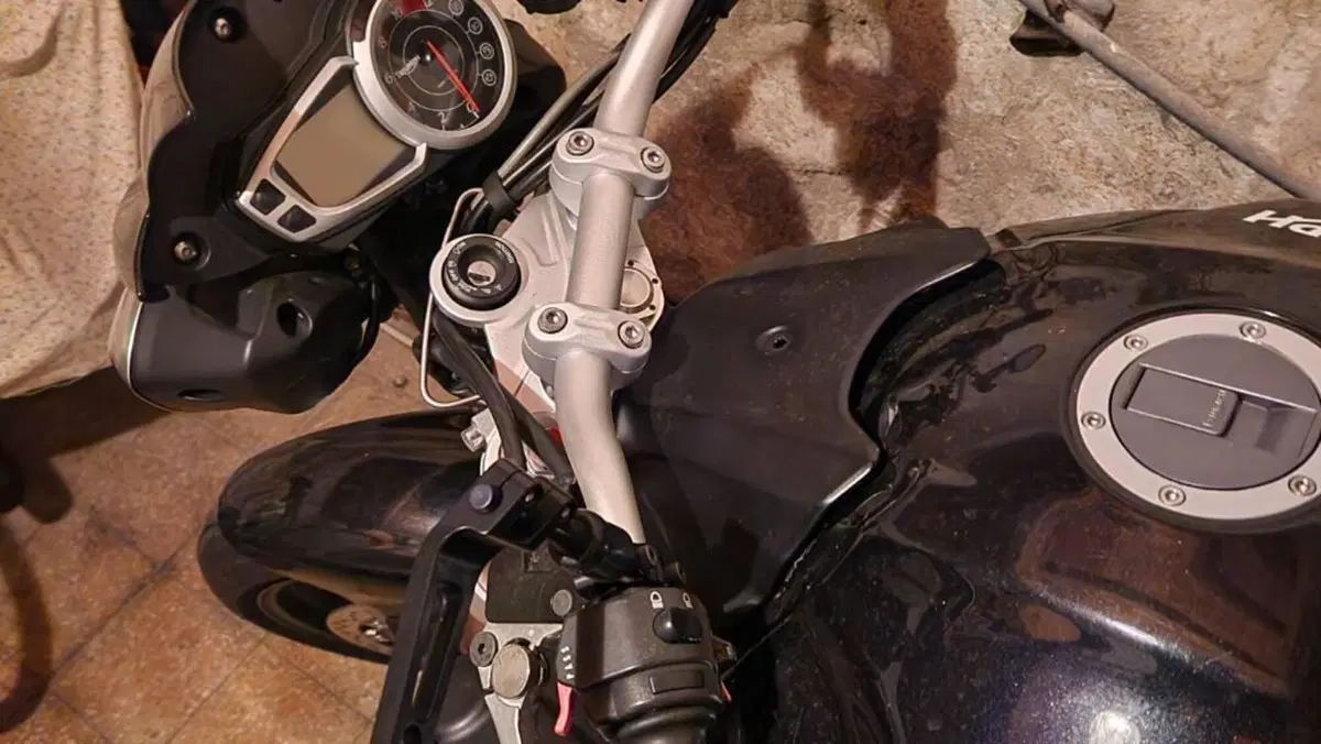 Triumph Speed Triple 1050 (2011 - 13)  (3)