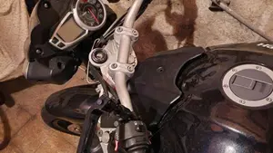 Triumph Speed Triple 1050 (2011 - 13)  (3)
