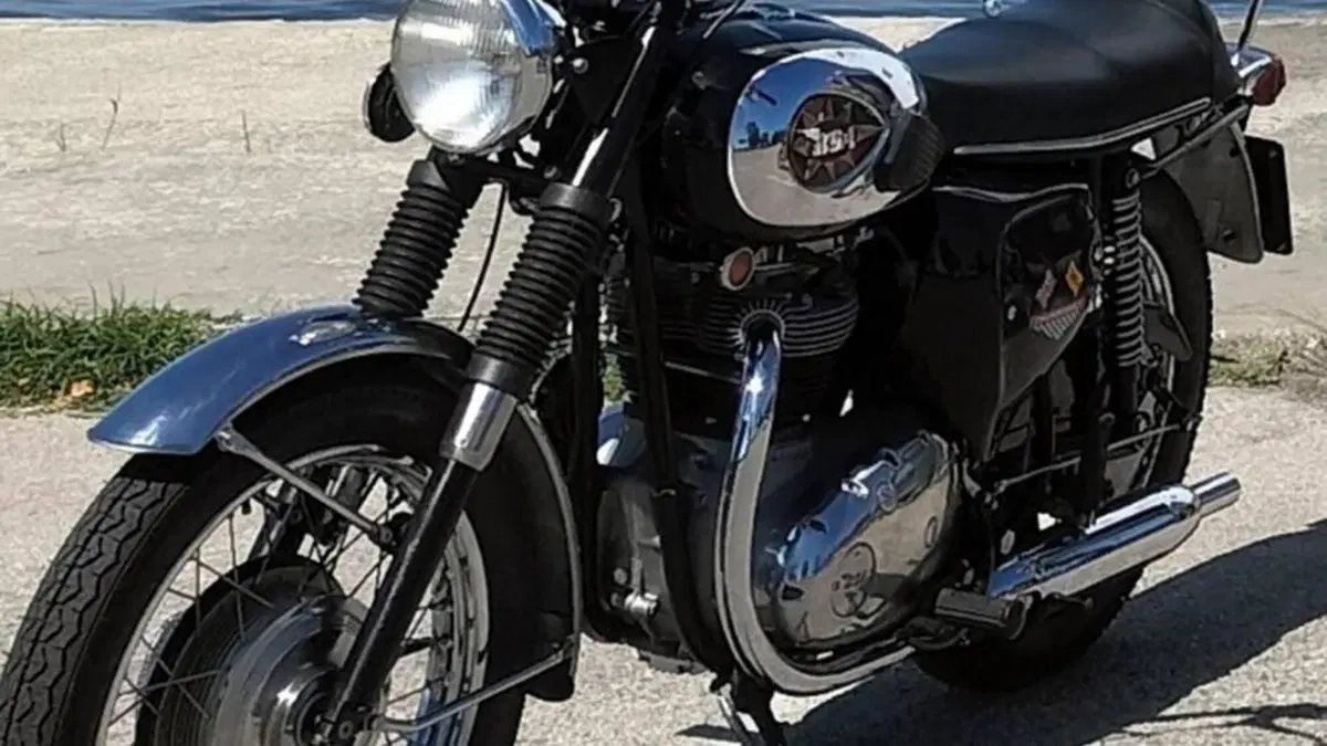Bsa   (2)