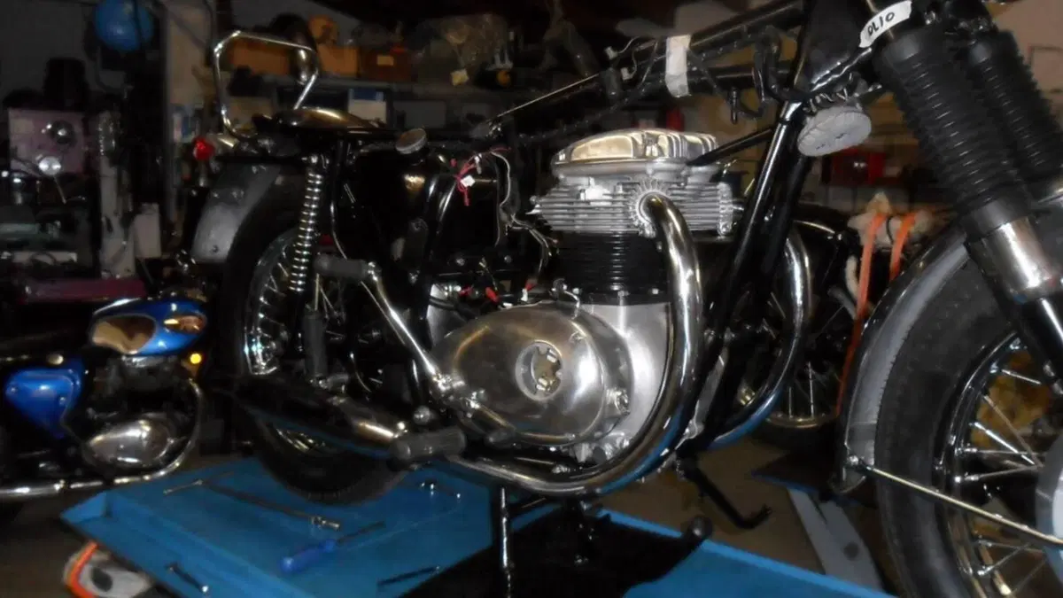 Bsa   (11)