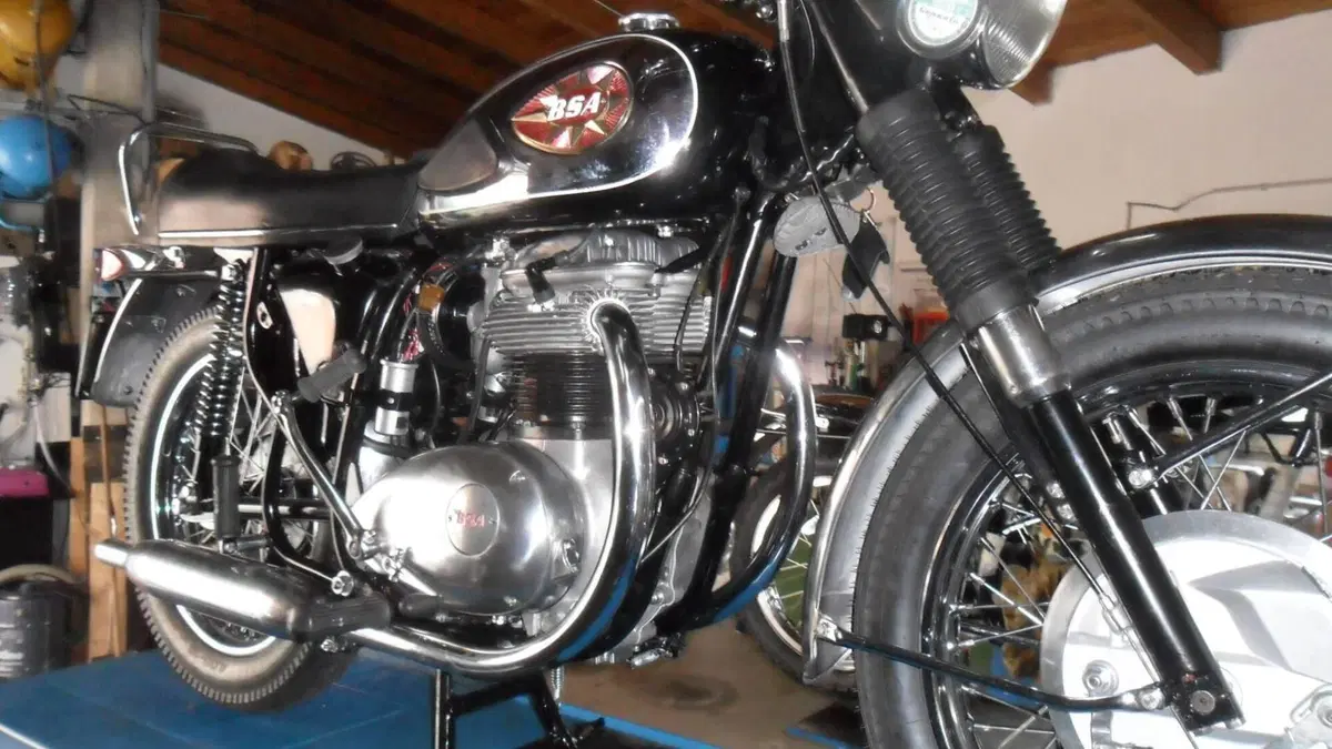 Bsa   (12)