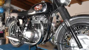 Bsa   (12)