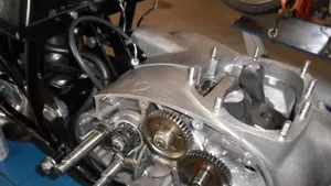Bsa   (8)