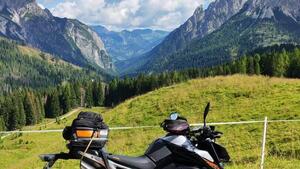 KTM 790 Duke (2018 - 20) 