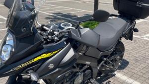 Suzuki V-Strom 650 (2021 - 25) 