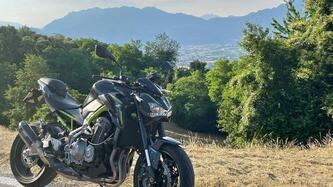 Kawasaki Z 900 (2017 - 18) usata