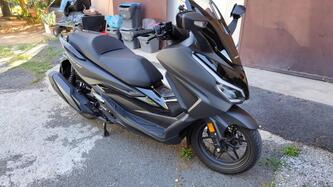 Honda Forza 350 (2022 - 24)