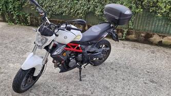 Benelli BN 302 (2017 - 19)