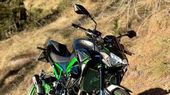 Kawasaki Z 900 (2021 - 24) usata