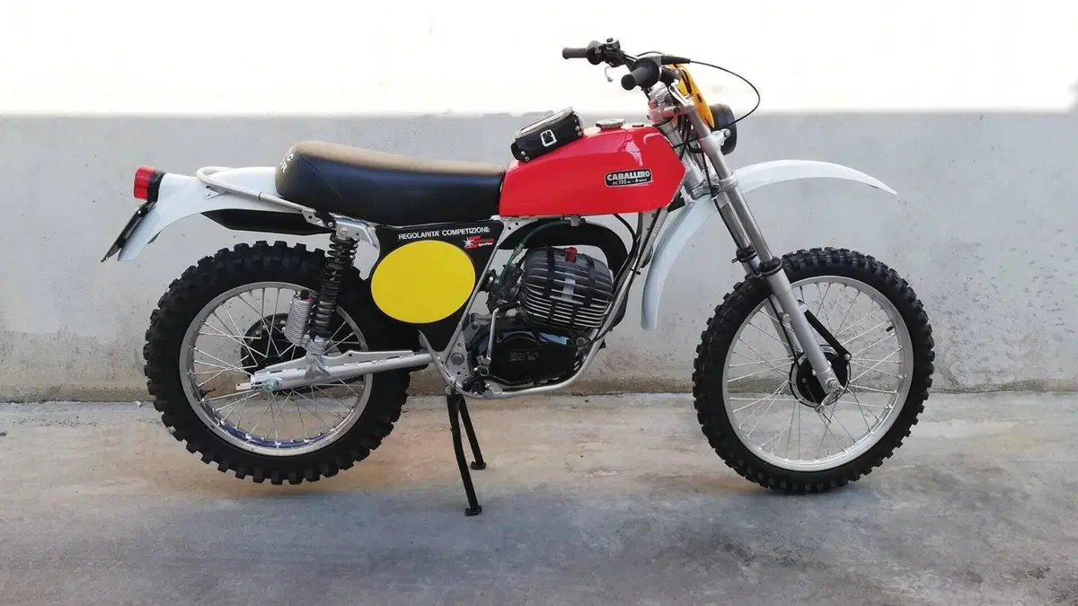 Fantic Motor   (2)
