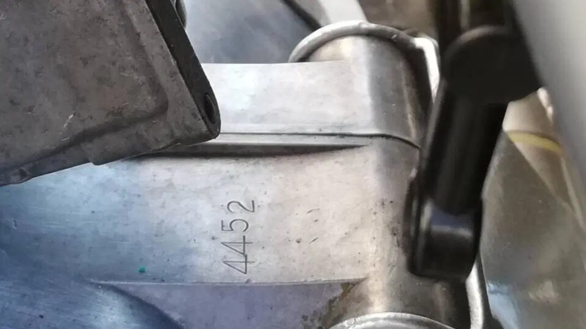 Fantic Motor   (5)