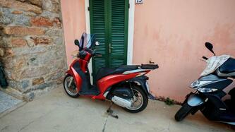 Honda SH 125 i ABS (2013 - 17) usata