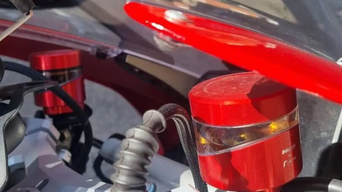 Ducati Panigale V4 S 1100 (2018 - 19)  (7)