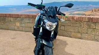 Kawasaki Z 650 (2017 - 19) usata