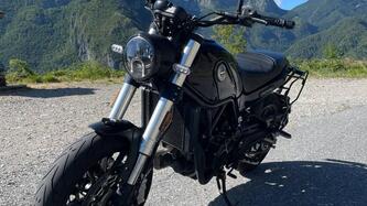 Benelli Leoncino 500 (2021 - 25)