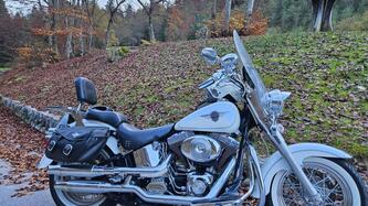 Harley-Davidson 1450 Fat Boy (2003 - 06) - FLSTFI