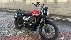 Triumph Scrambler (2006 - 17) 