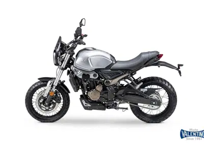 Voge Trofeo 300ACX Scrambler (2021 - 26) - Annuncio 9817201