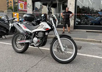 Betamotor Alp 4.0 (2008 - 17) - Annuncio 9817281