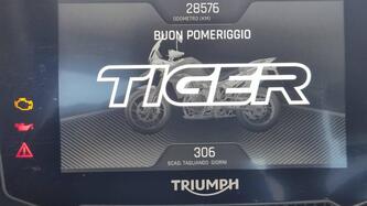 Triumph Tiger 900 Rally Pro (2020 - 23) usata