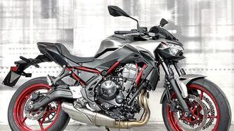 Kawasaki Z 650 (2021 - 24)