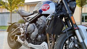 Triumph Trident 660 Triple Tribute Edition (2024) 