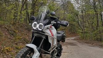 Ducati DesertX (2022 - 25)