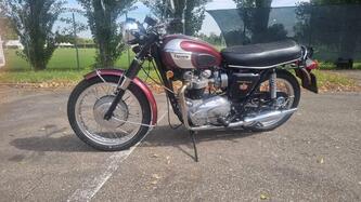 Triumph 