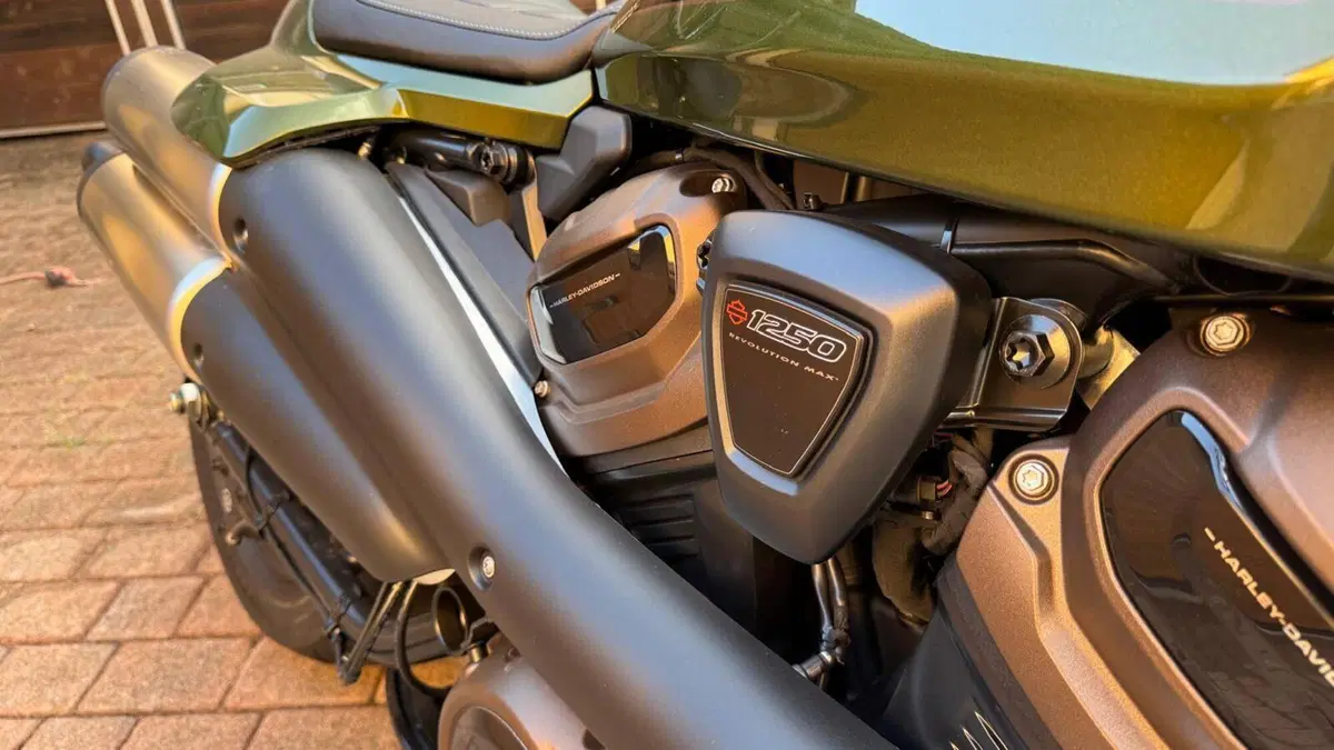 Harley-Davidson Sportster S (2022 - 24)  (10)