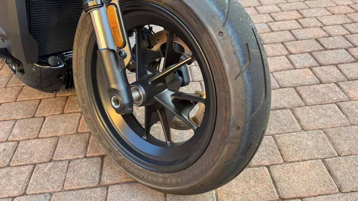 Harley-Davidson Sportster S (2022 - 24)  (13)