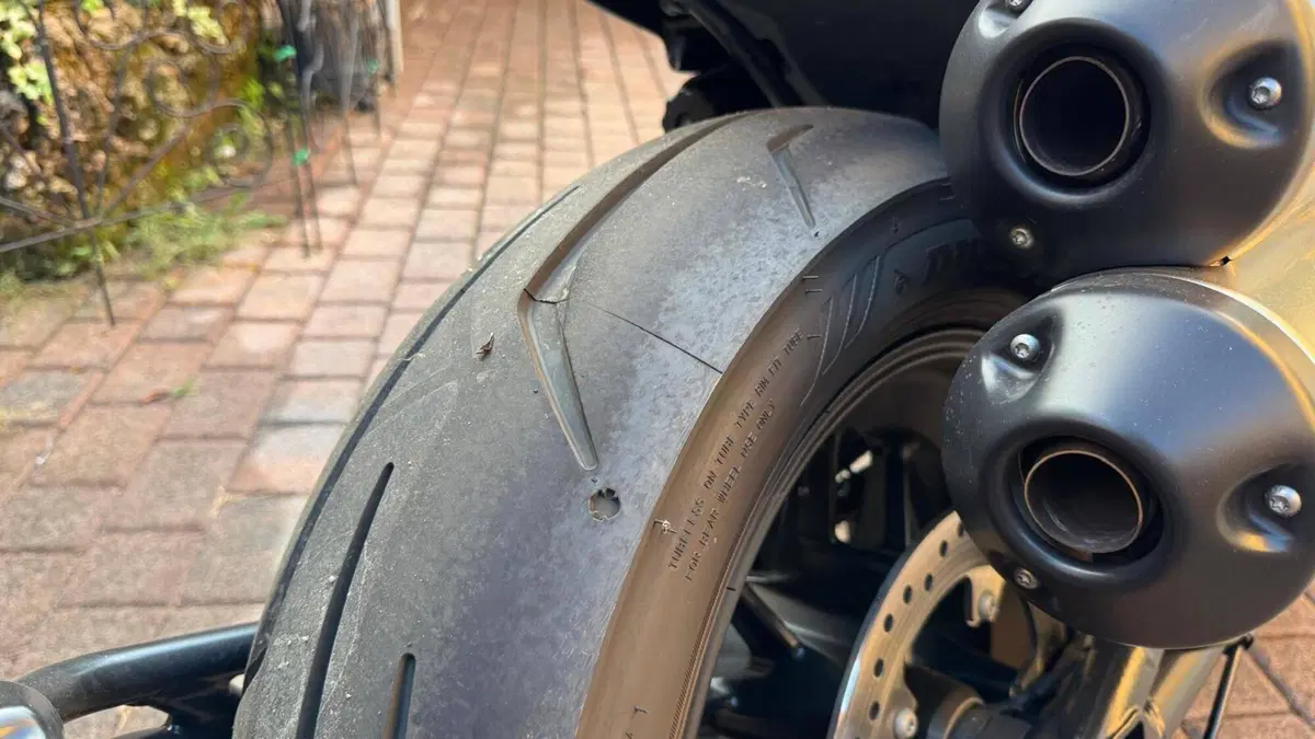Harley-Davidson Sportster S (2022 - 24)  (14)